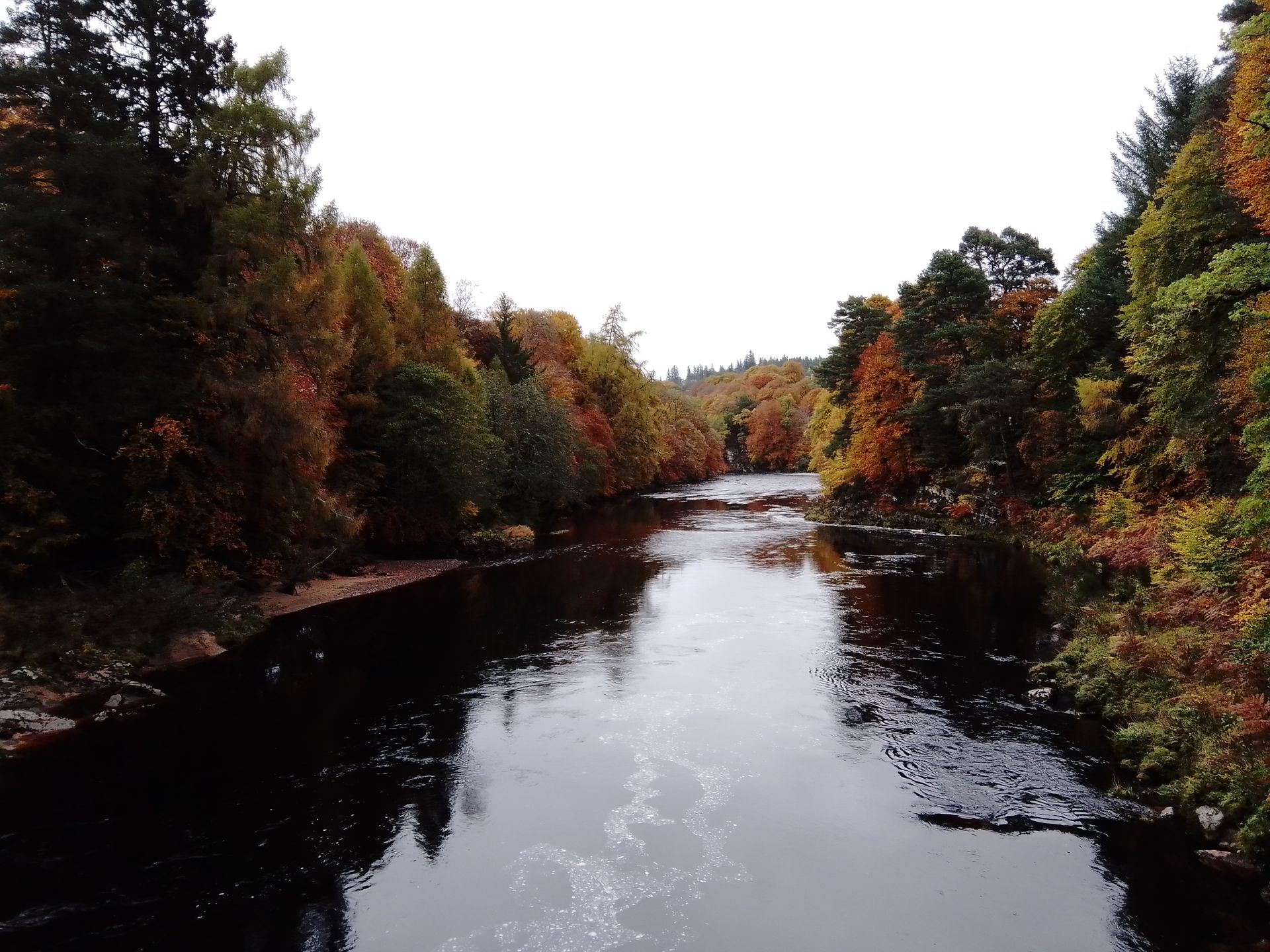 Autumnal trees on either side of a river