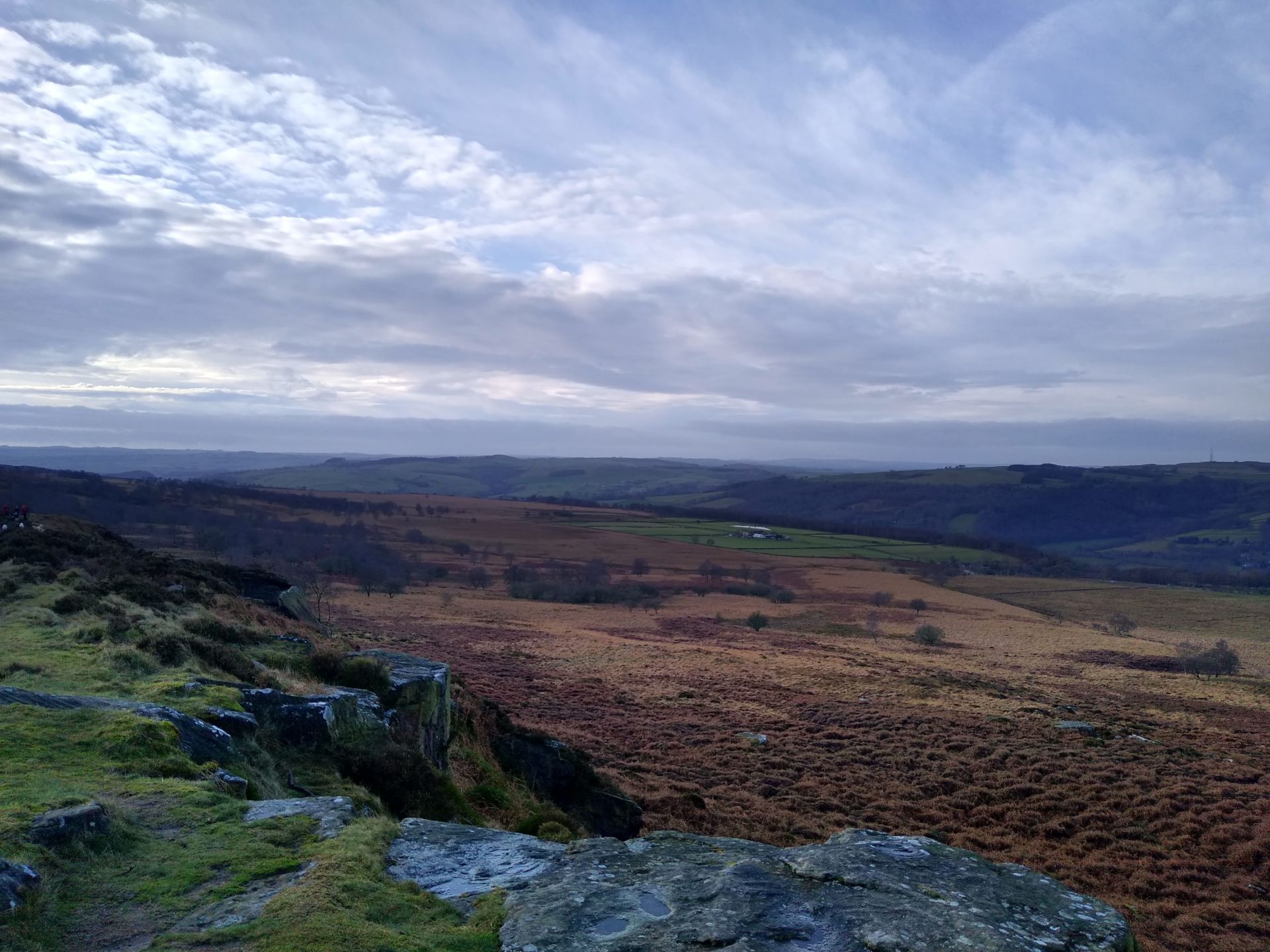 White Moor