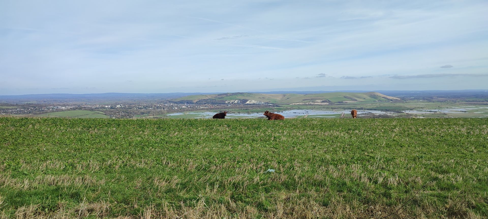 View over the top of Mount Caburn