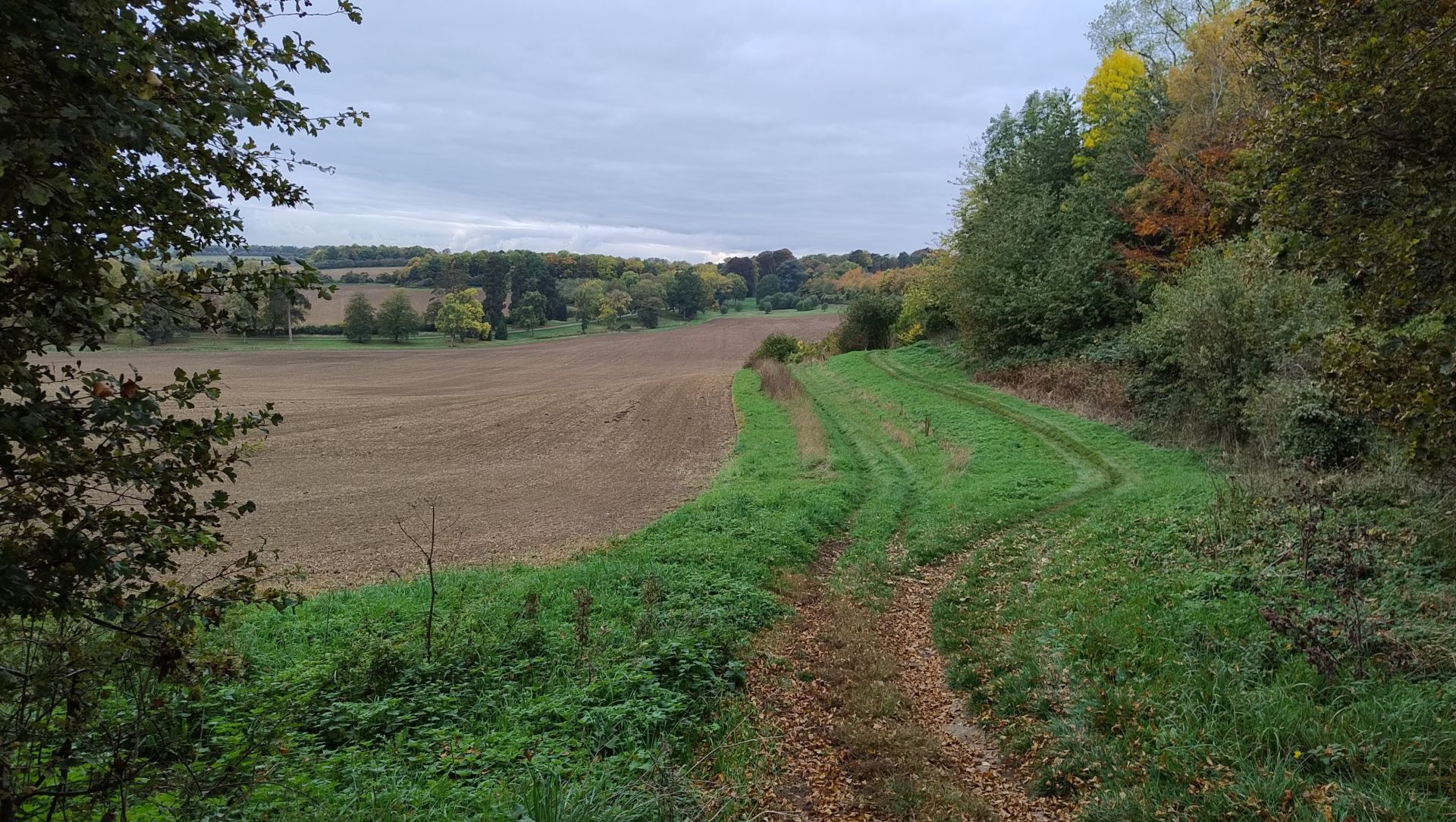 A view of a fieldside path with a large hedge on the right 