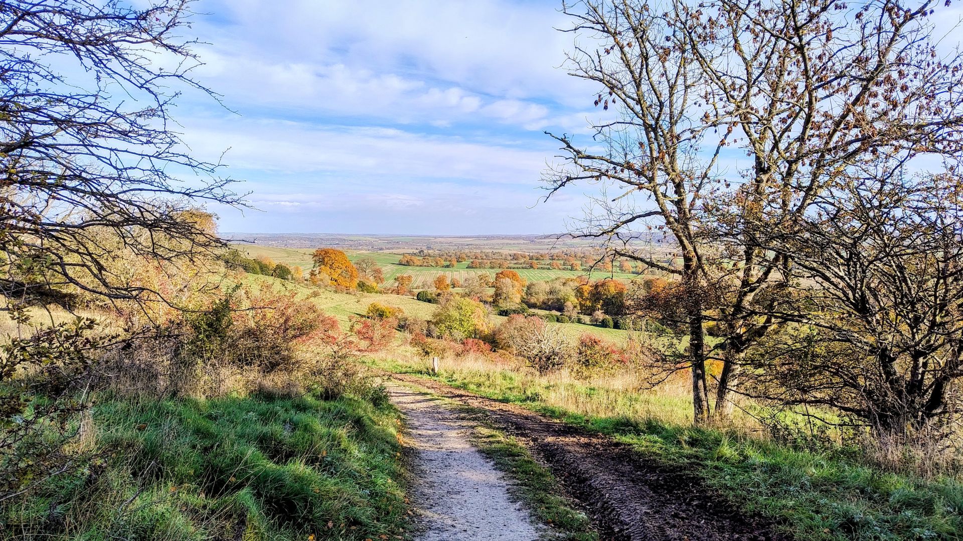 A view along a descending path with a long view to a distant hill on a summery day