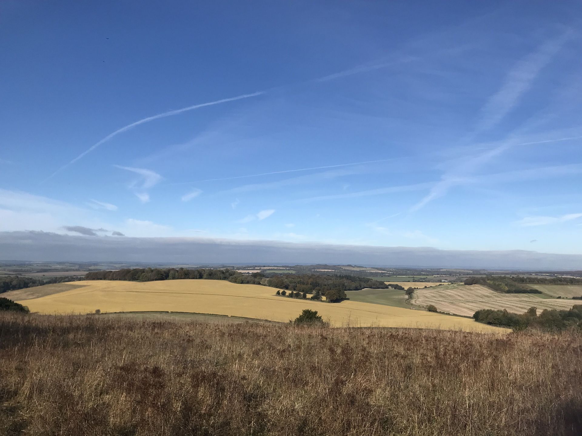 View from Farley Mount