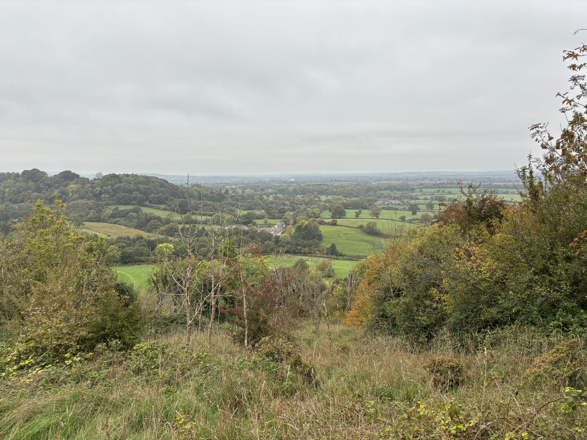 Woolland Hill