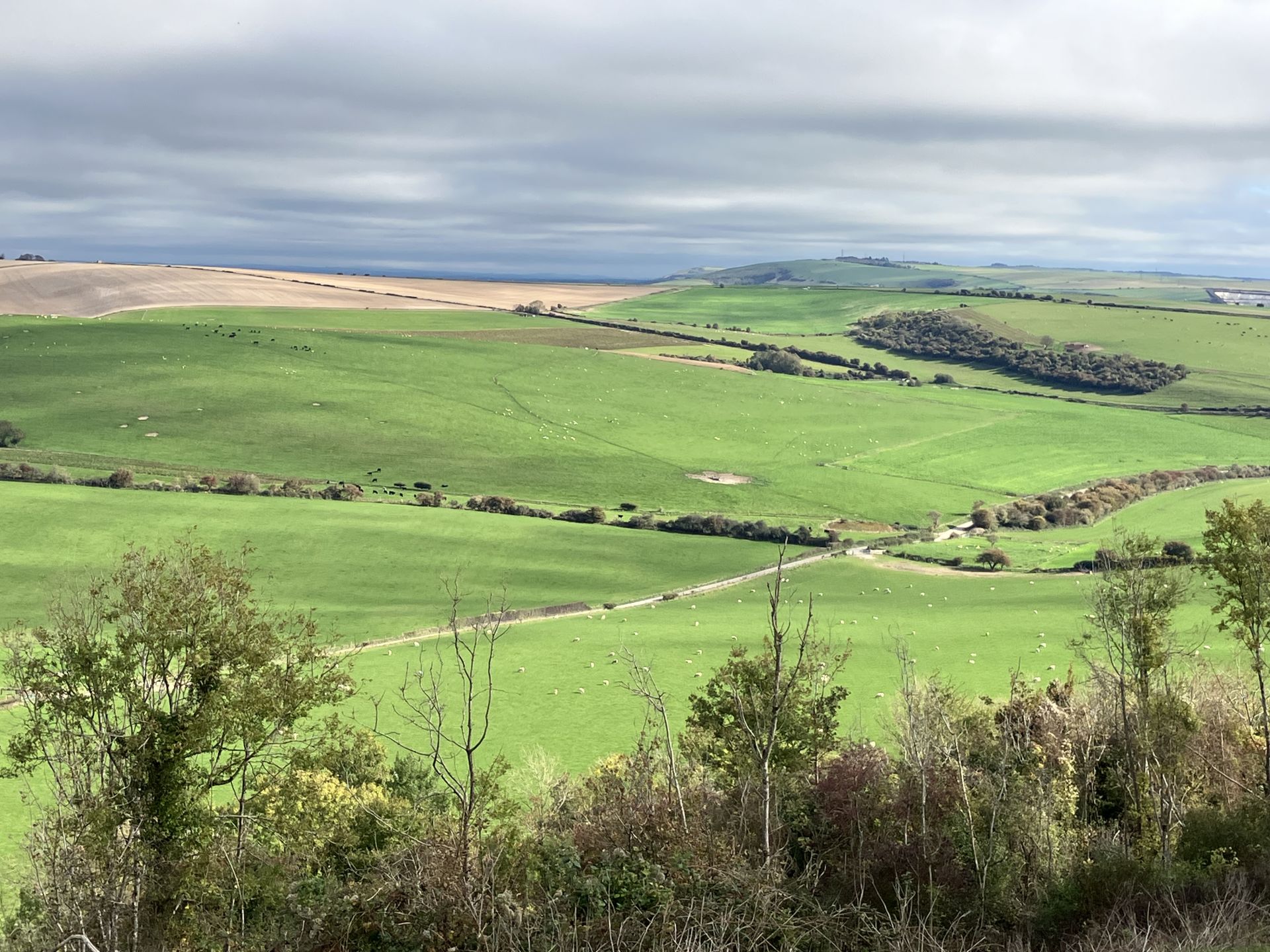 Views from Cissbury