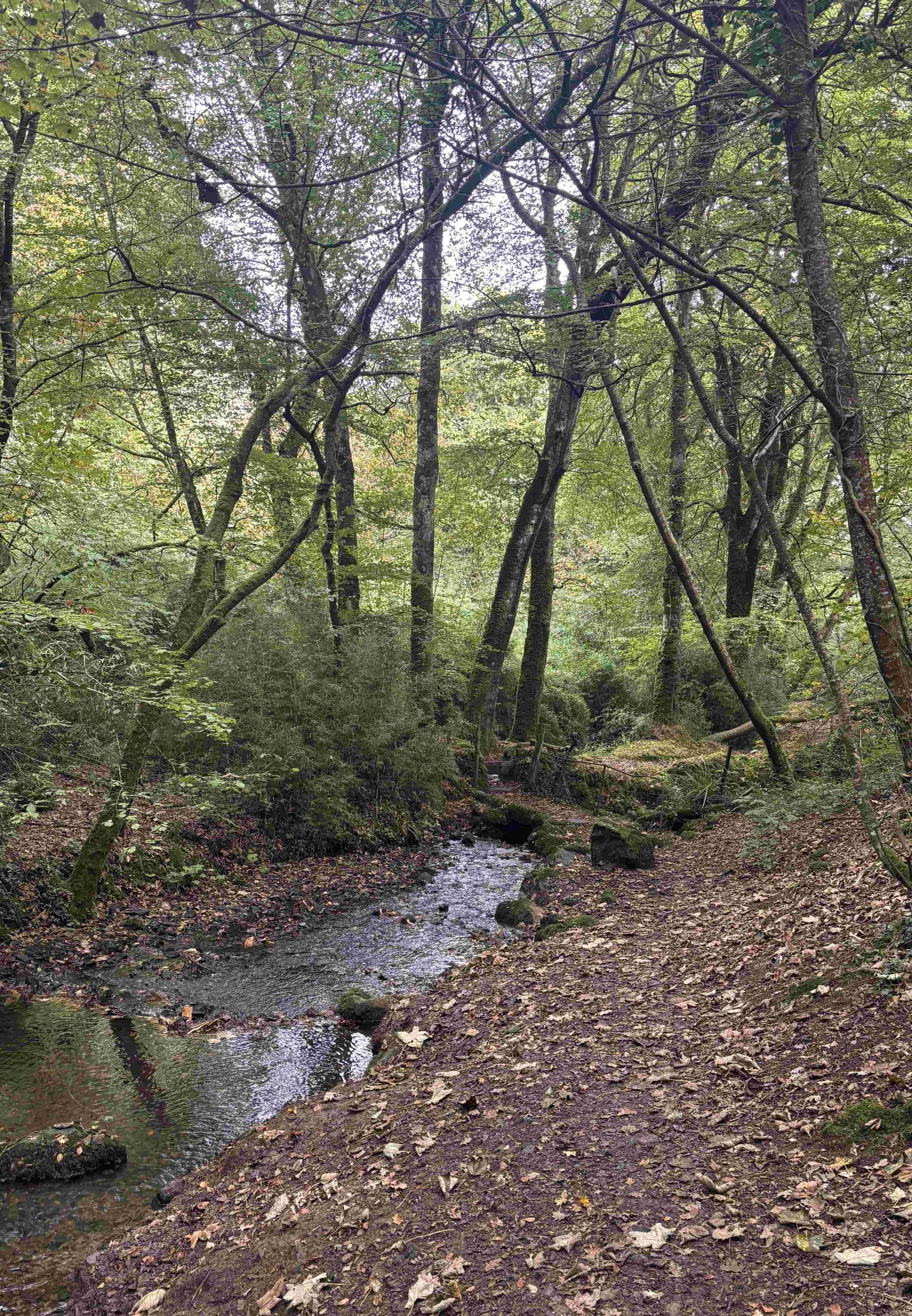 Near Trenoweth Mill