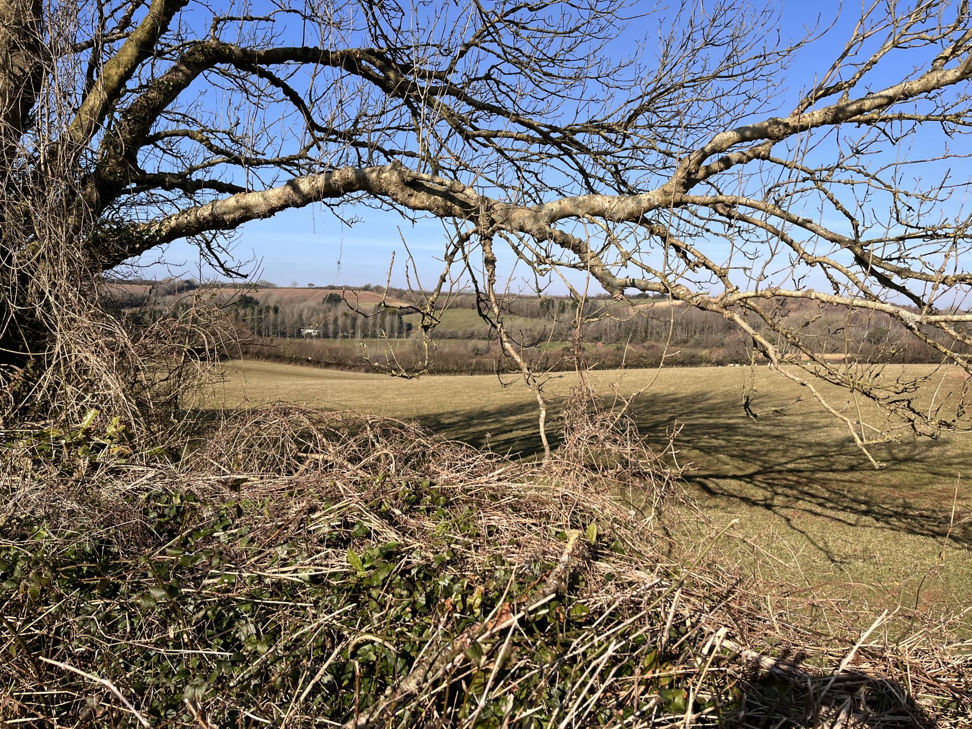 Countryside view