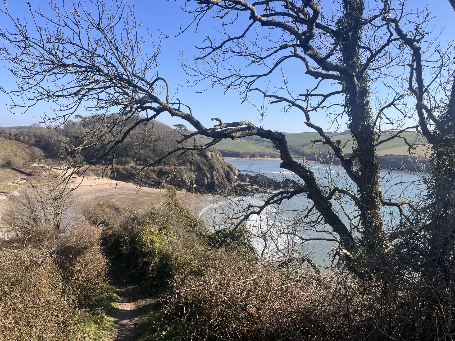 Estuary view