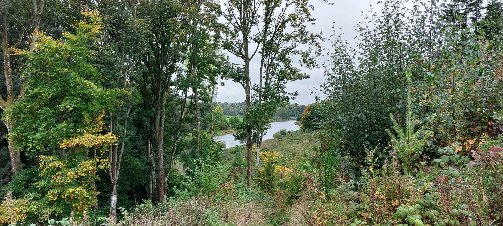 Looking back to the river