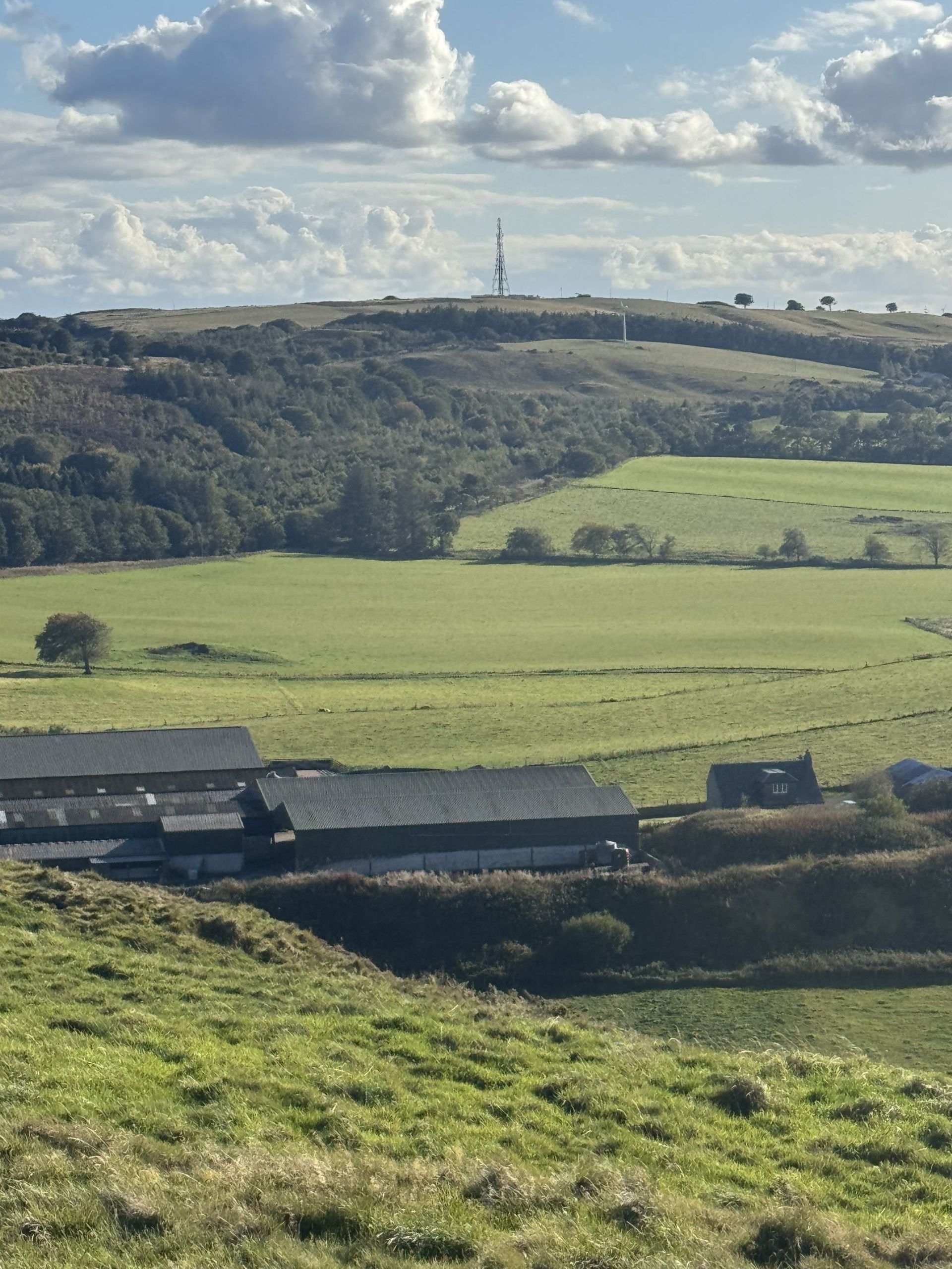 Panoramic View