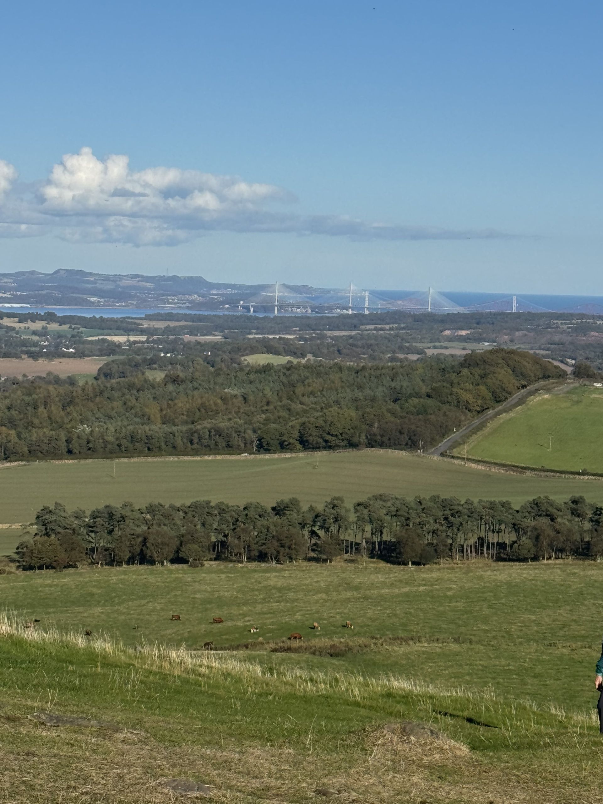 Panoramic View