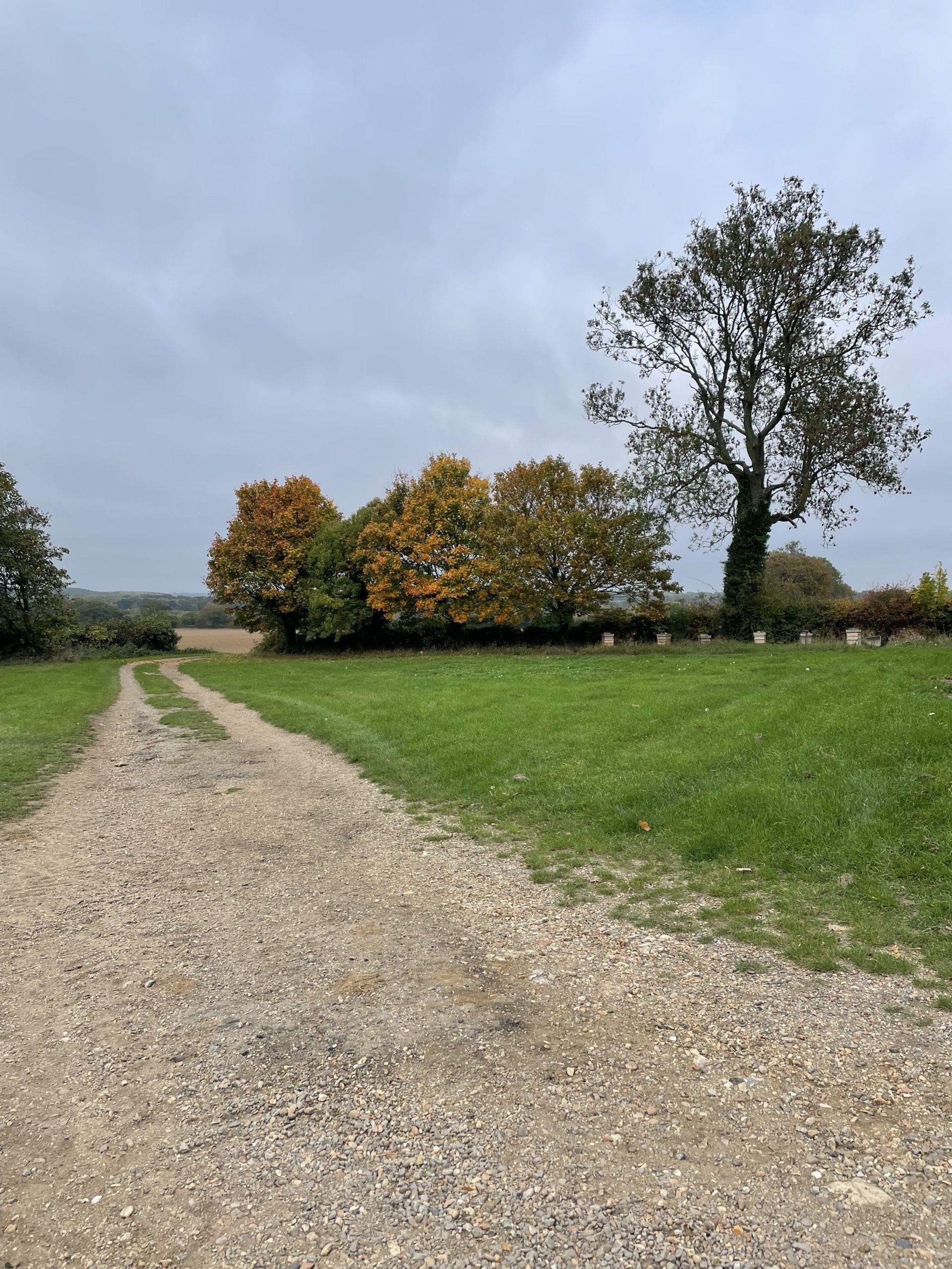 path