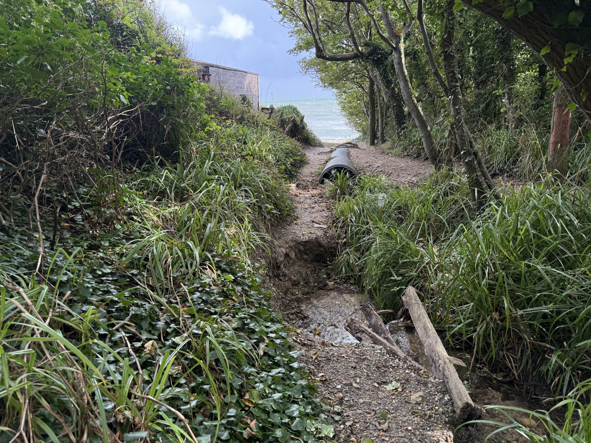 View of the sea from the South West Coastal Path