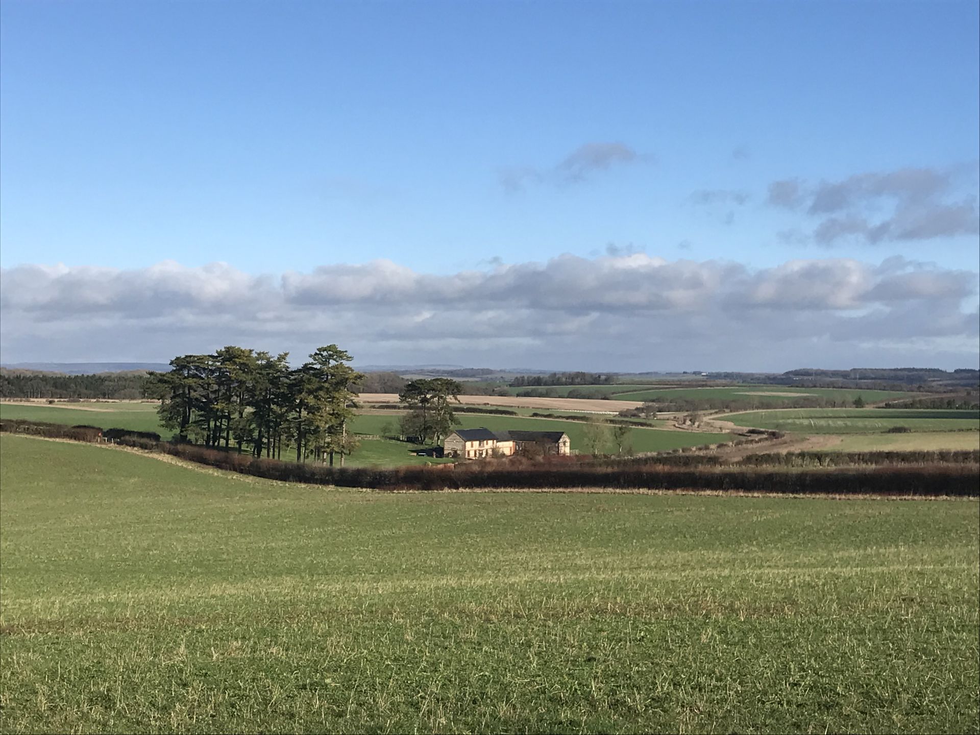 View from Danebury Hill