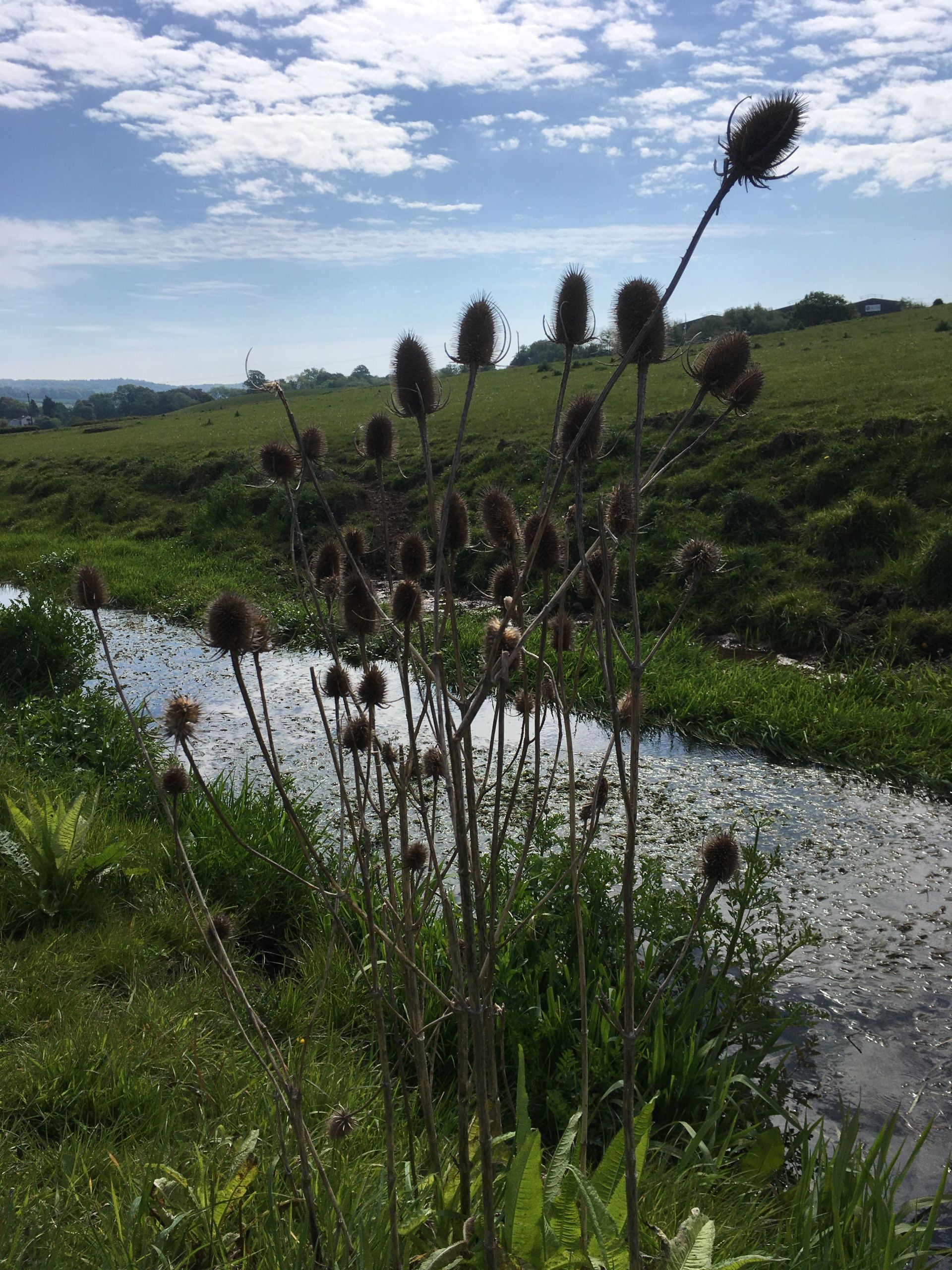 Along the water