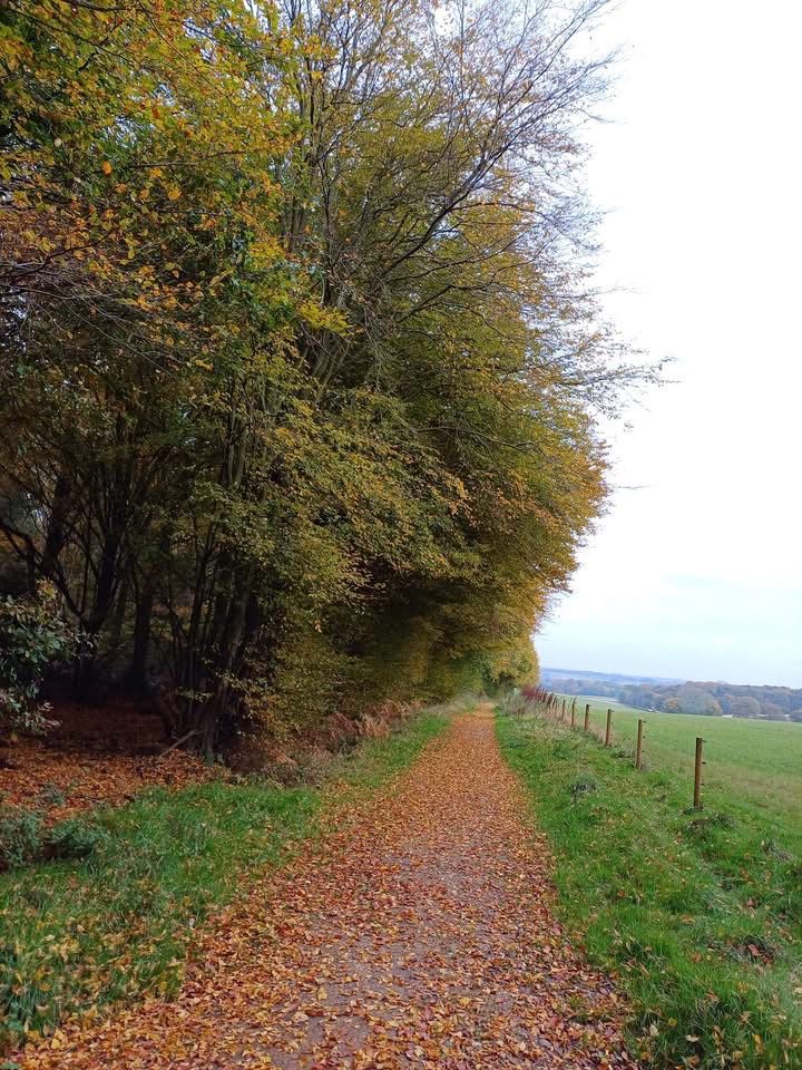 Path with views