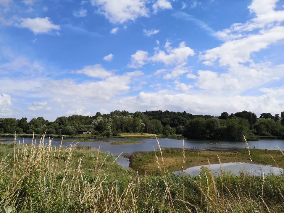 Amwell