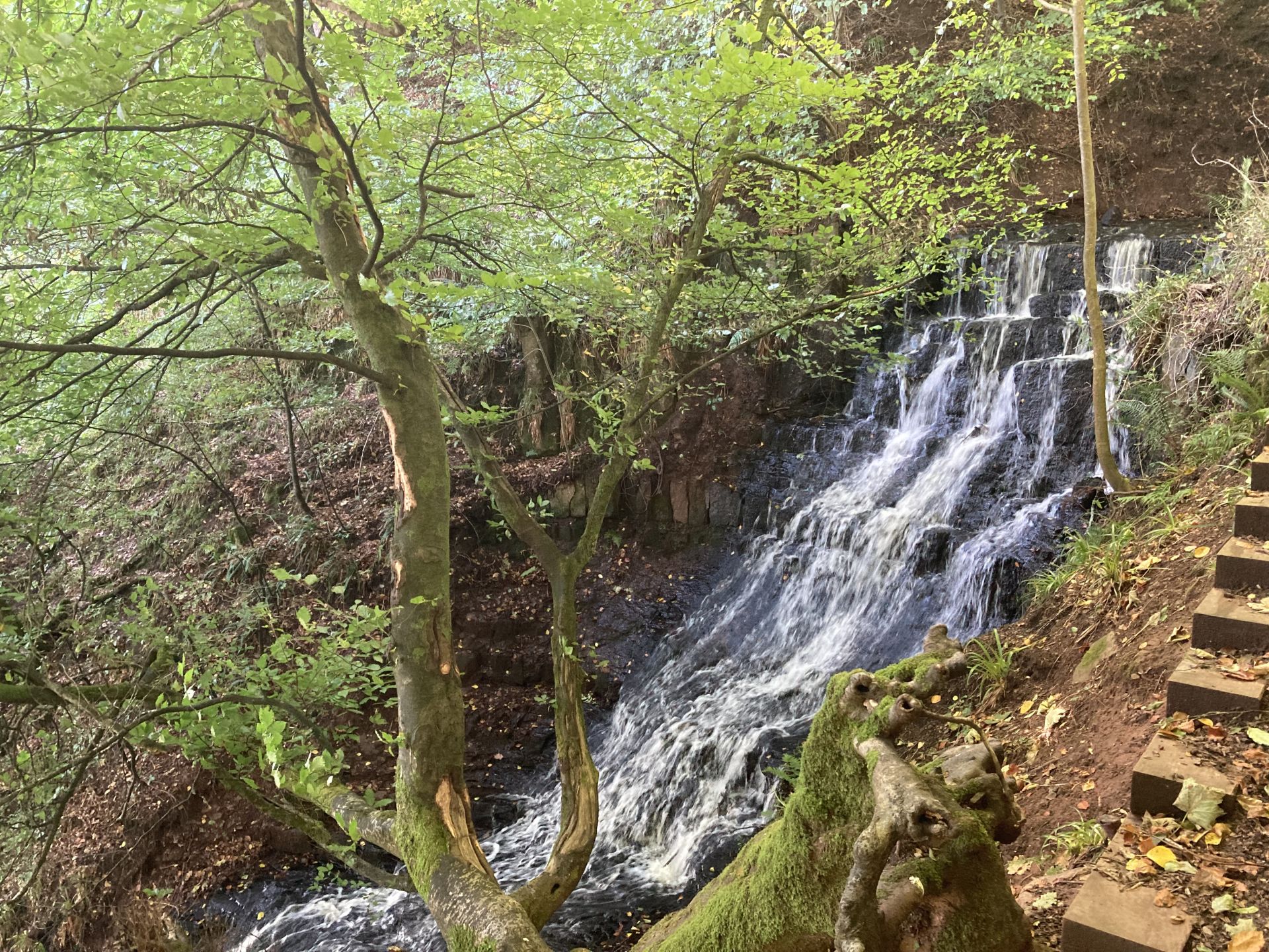 Cleddon Falls