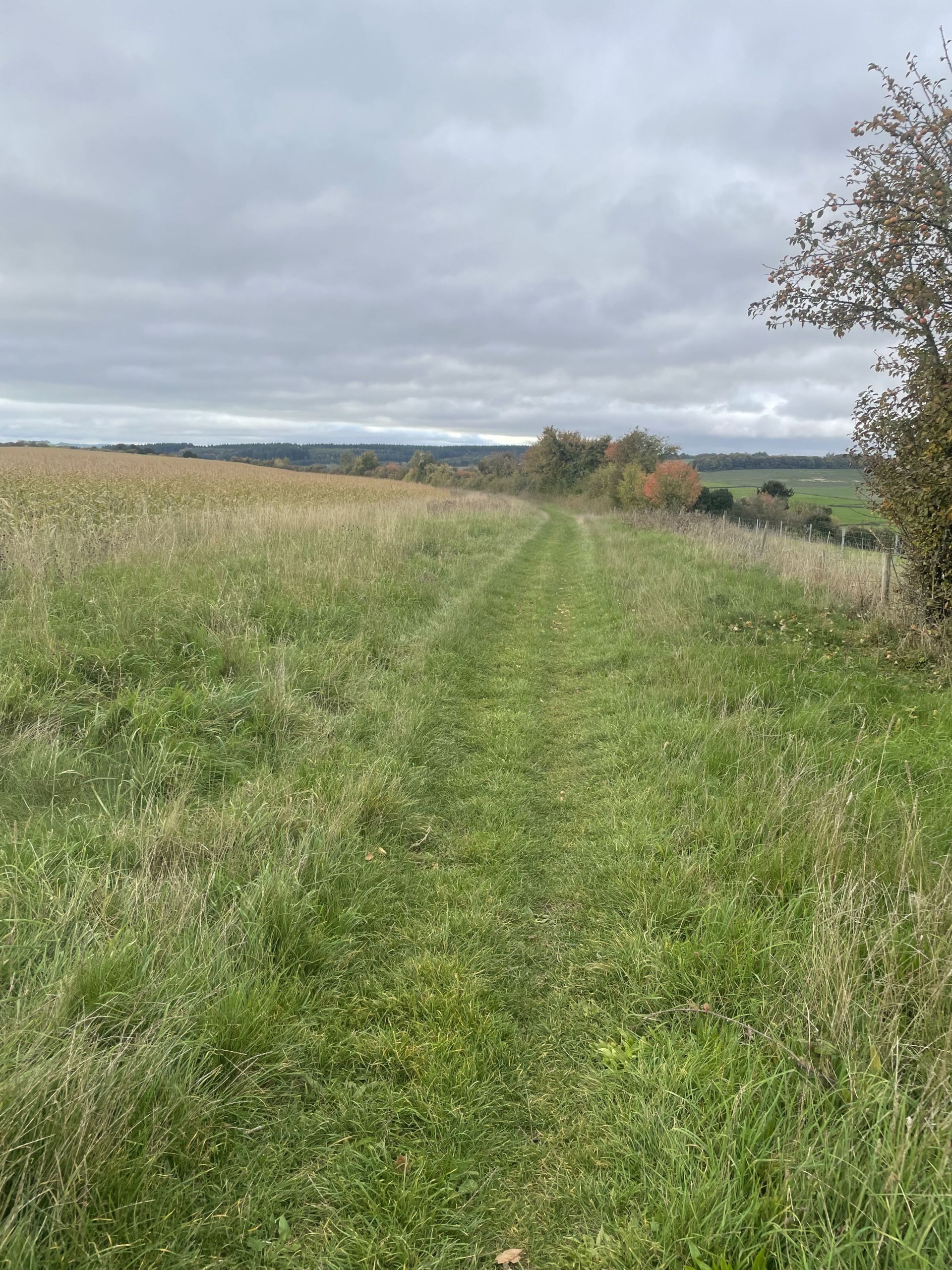 View towards Pitton