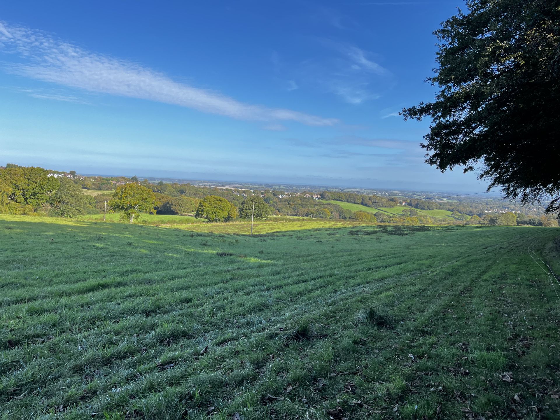 Scenic view