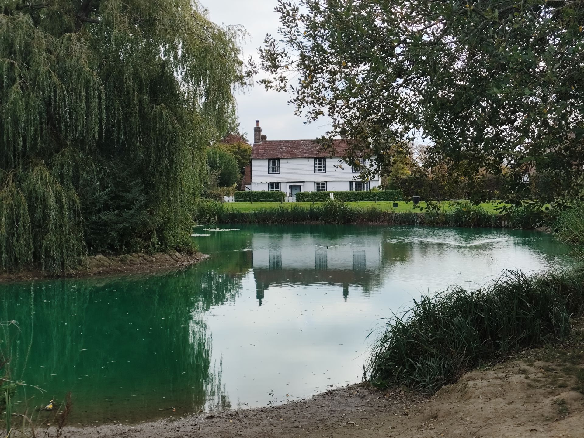 The pond in Matfield