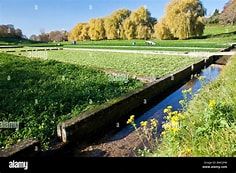 Watercress Beds