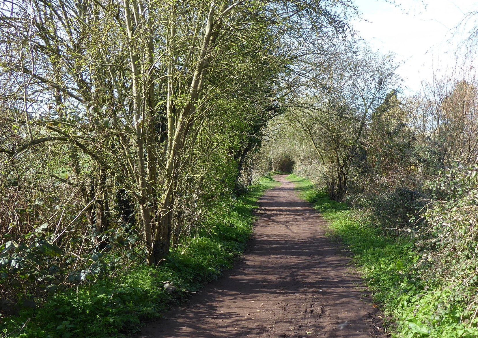 Town and Country trail