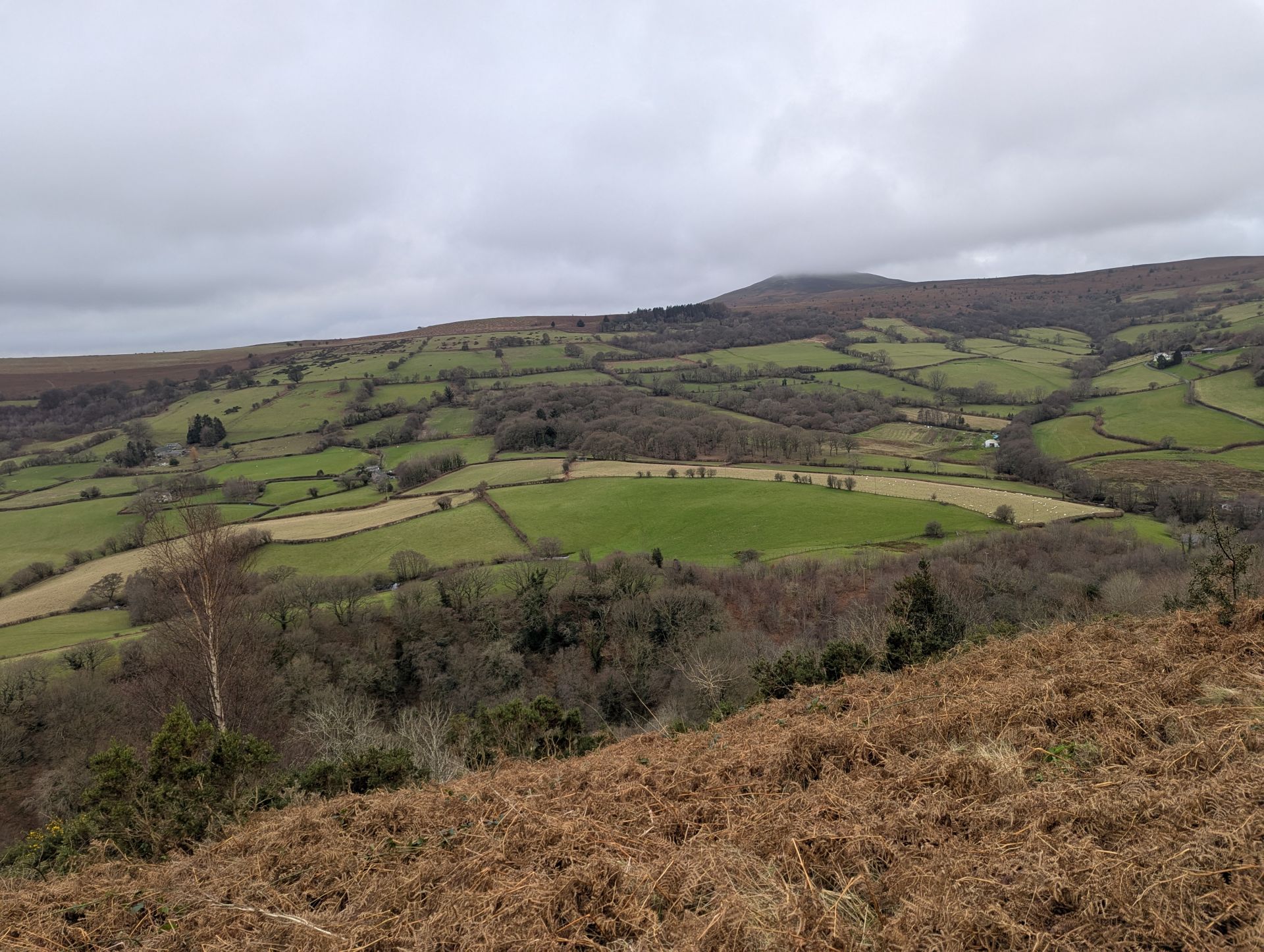 View from Bryn Arw