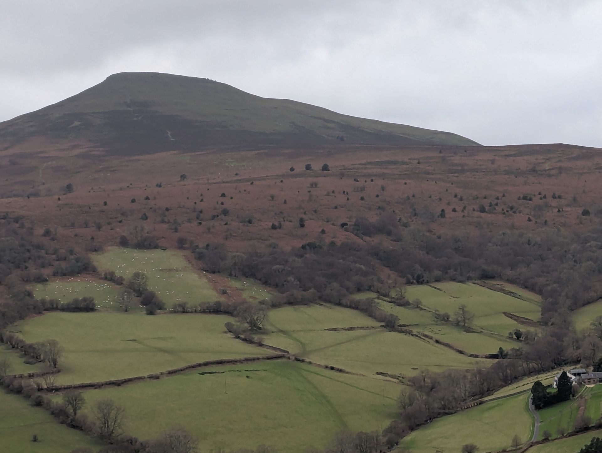 Sugar Loaf