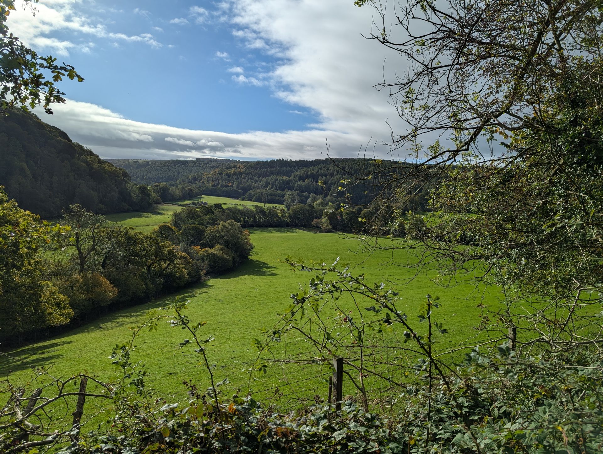 view