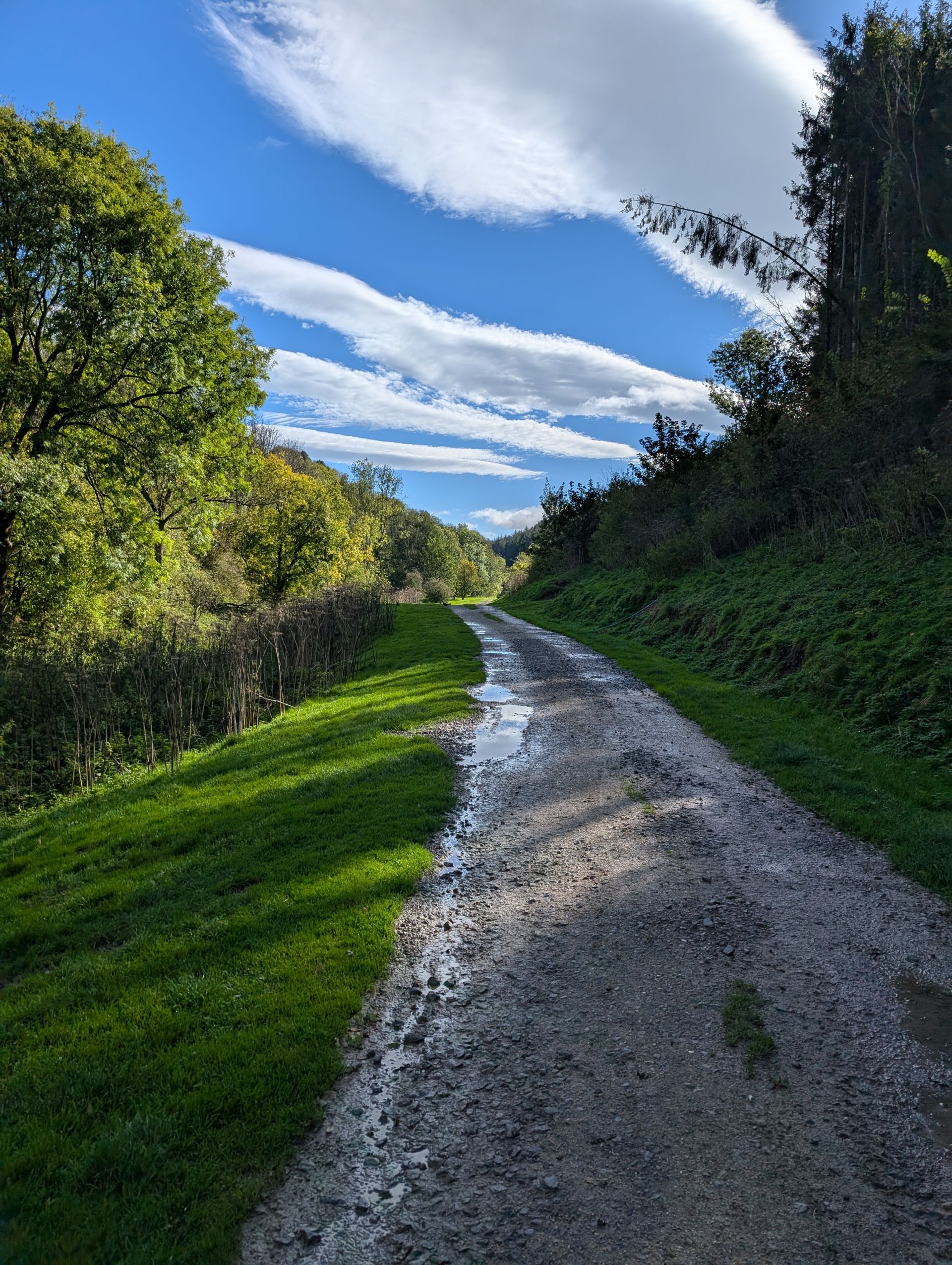 path