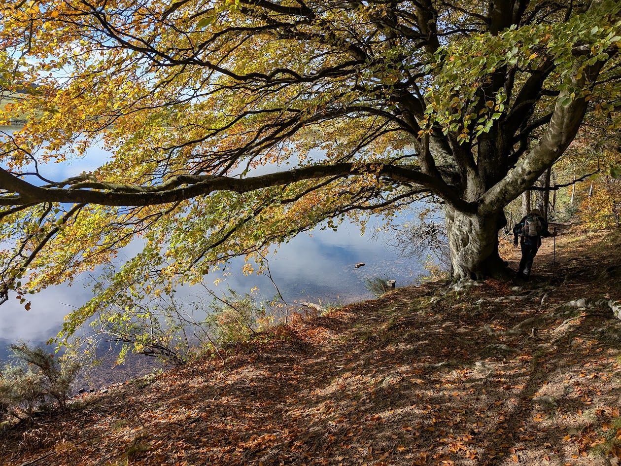 Cauldsheil Loch in Autumnal colours
