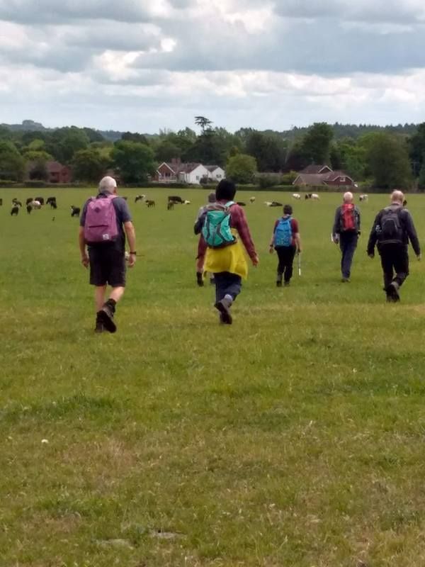 Ramblers walking across field
