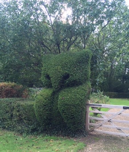 owl topiary near Sherfield English