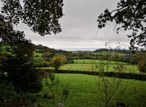 View looking out towards the River Severn