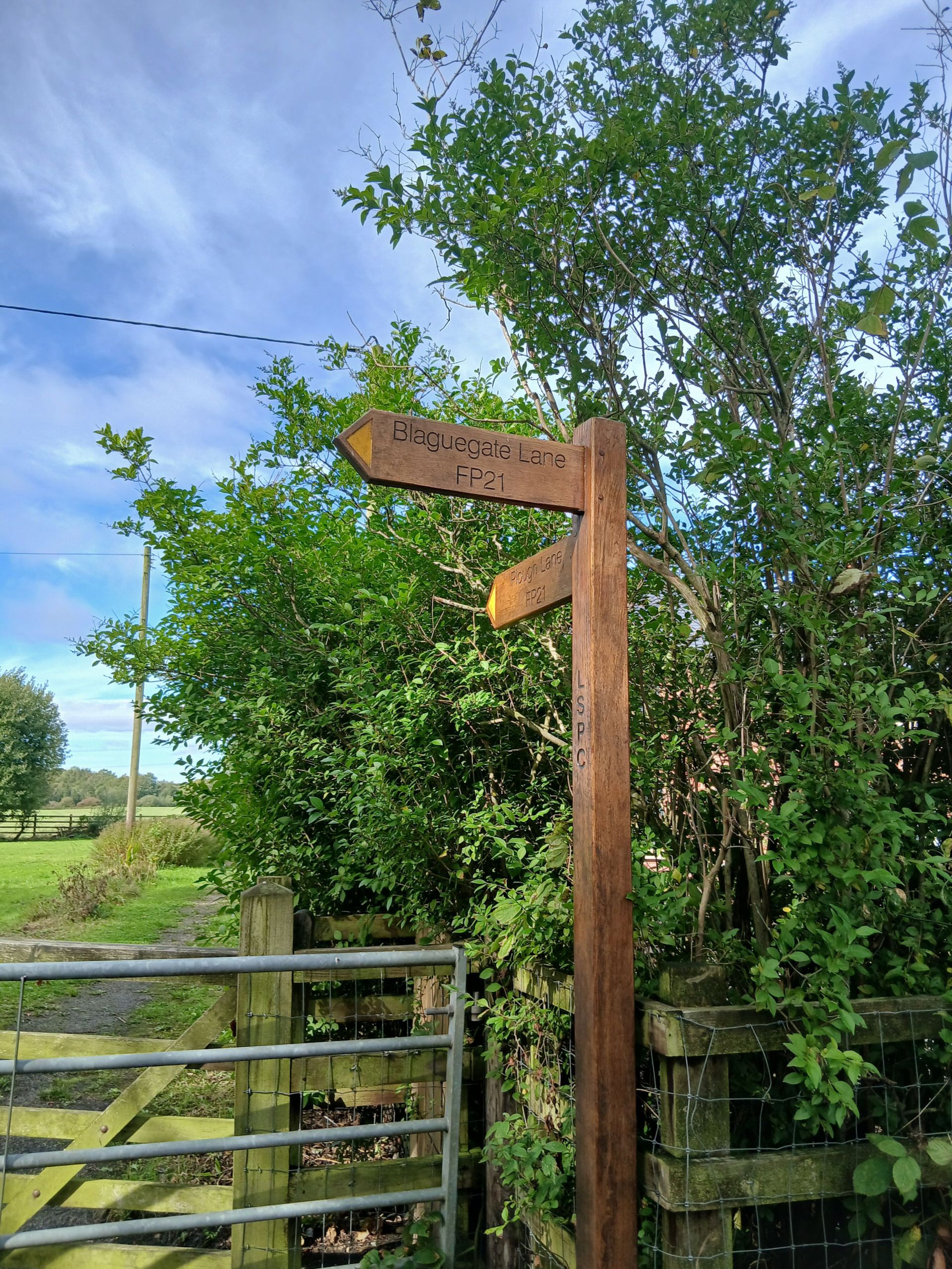 Finger post