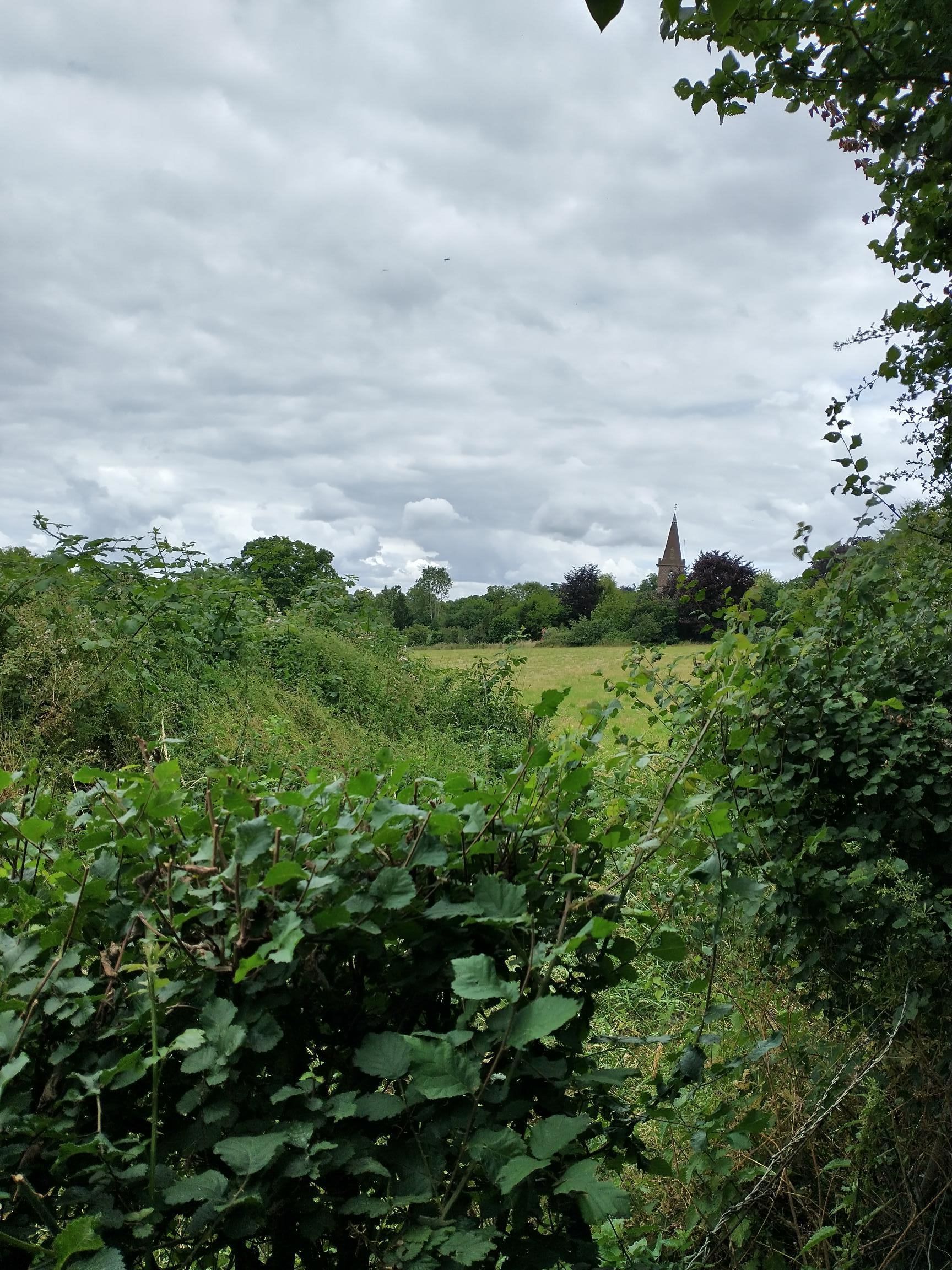 Twyford church steeple in distance.