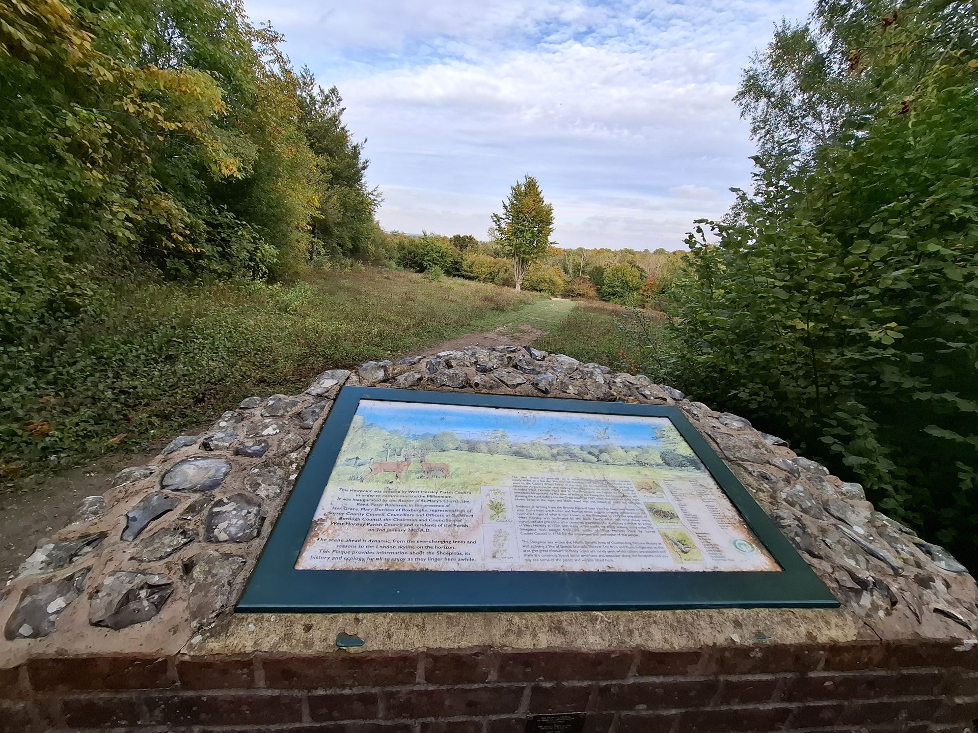 Sheepleas viewpoint