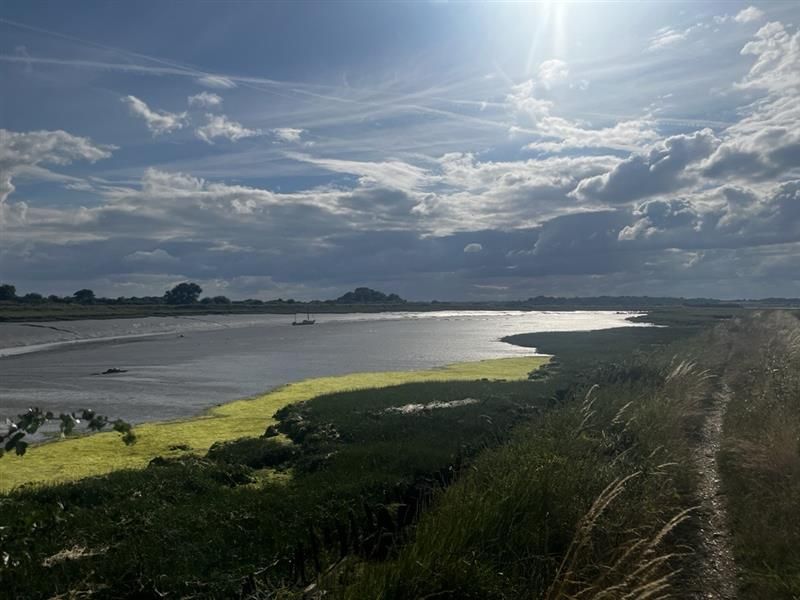 River Colne, Essex