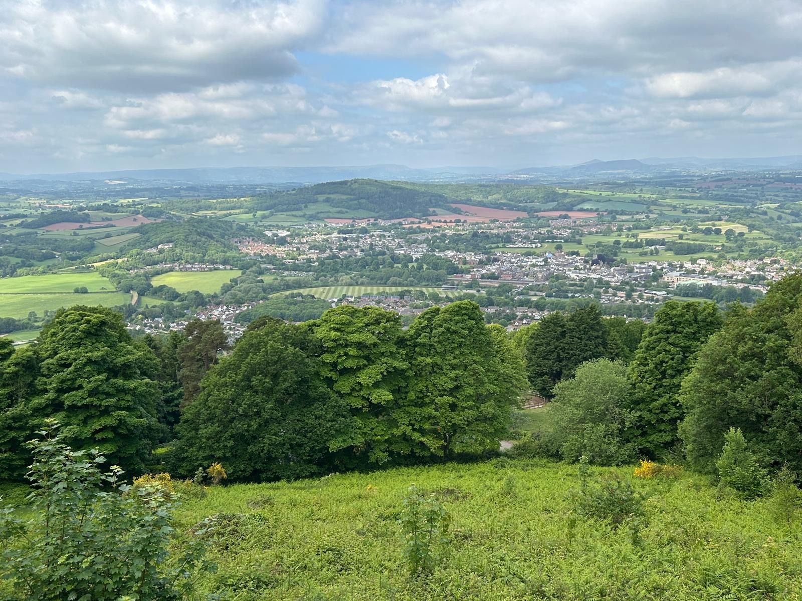  view