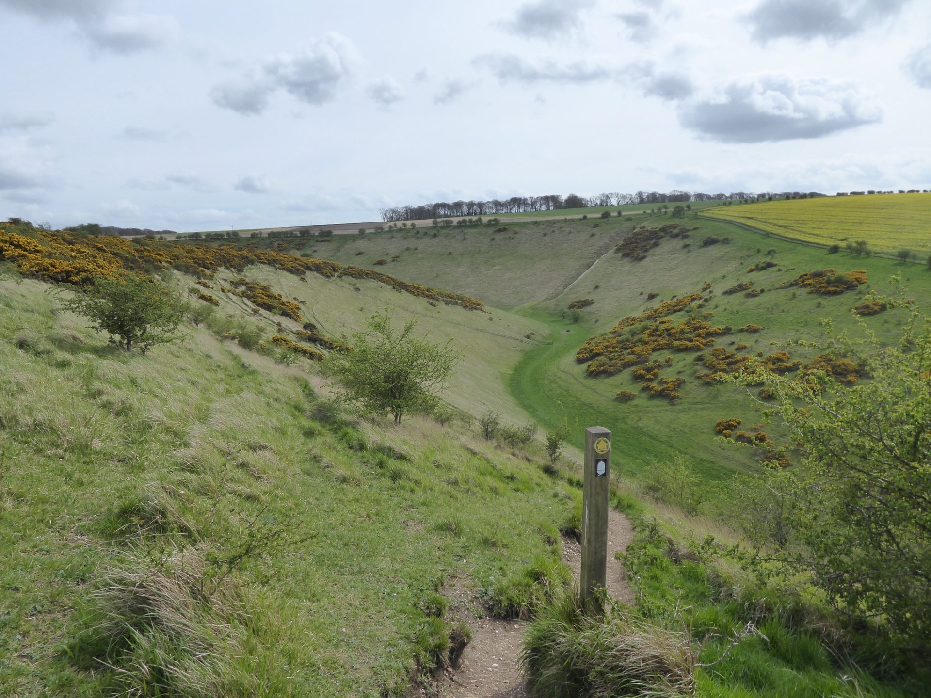 Steep valley of Sylvan Dale