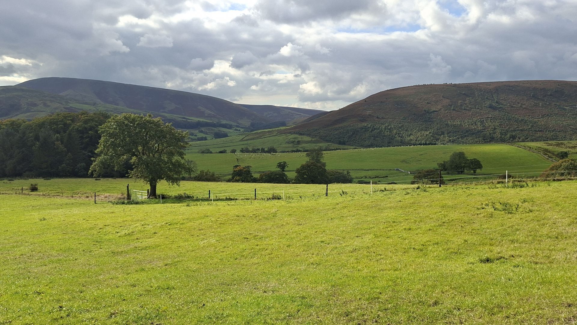 Ribble Valley