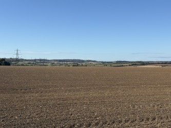 View across field