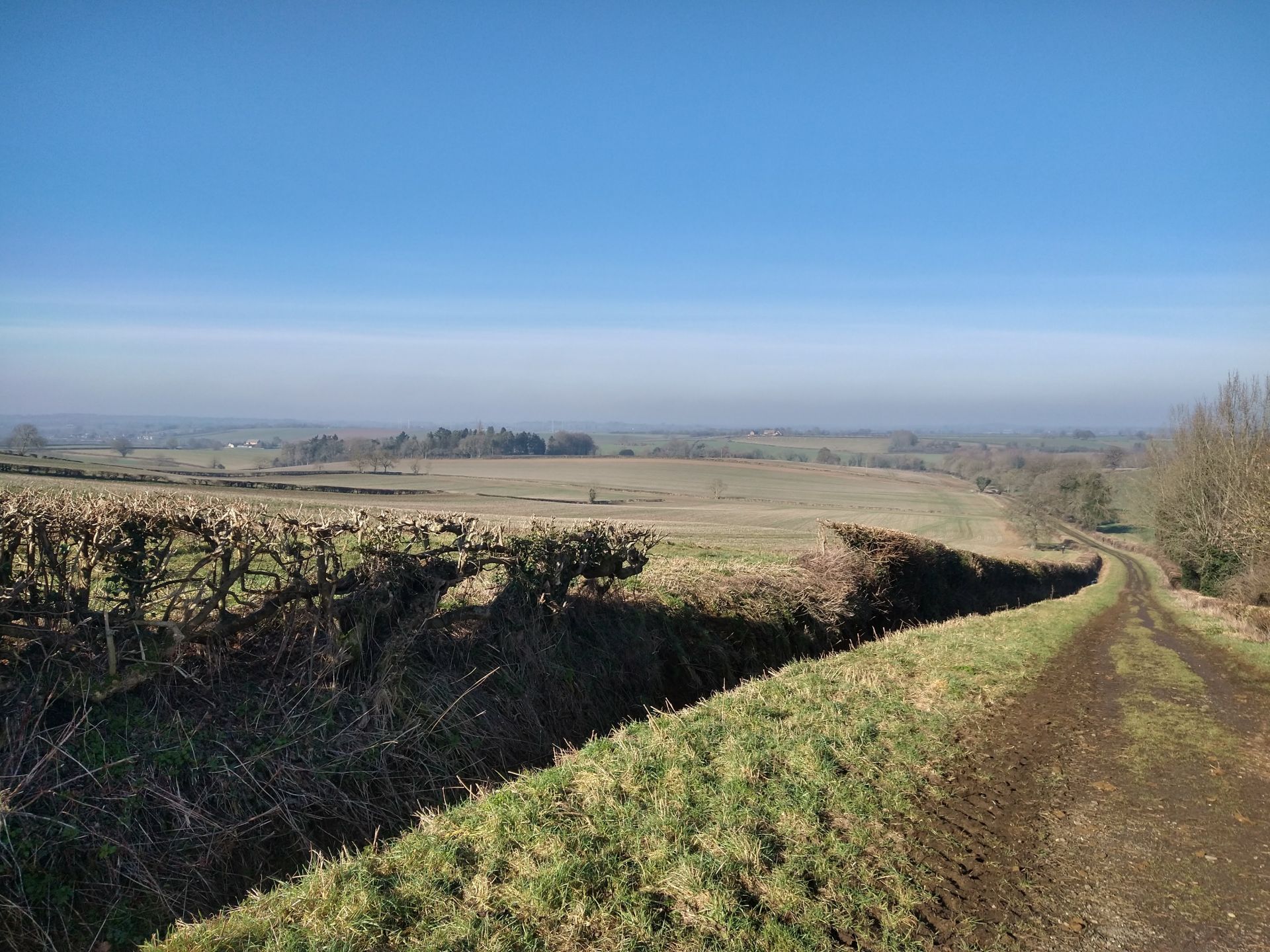 Pre-AGM walk