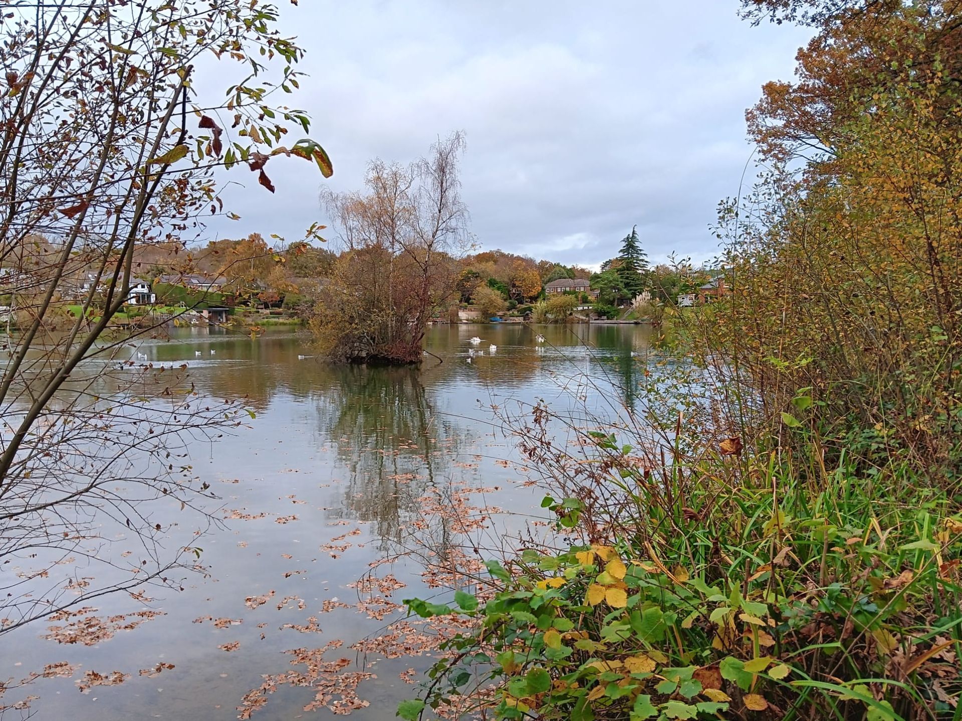 Brick Pit © Sylvia C 2025