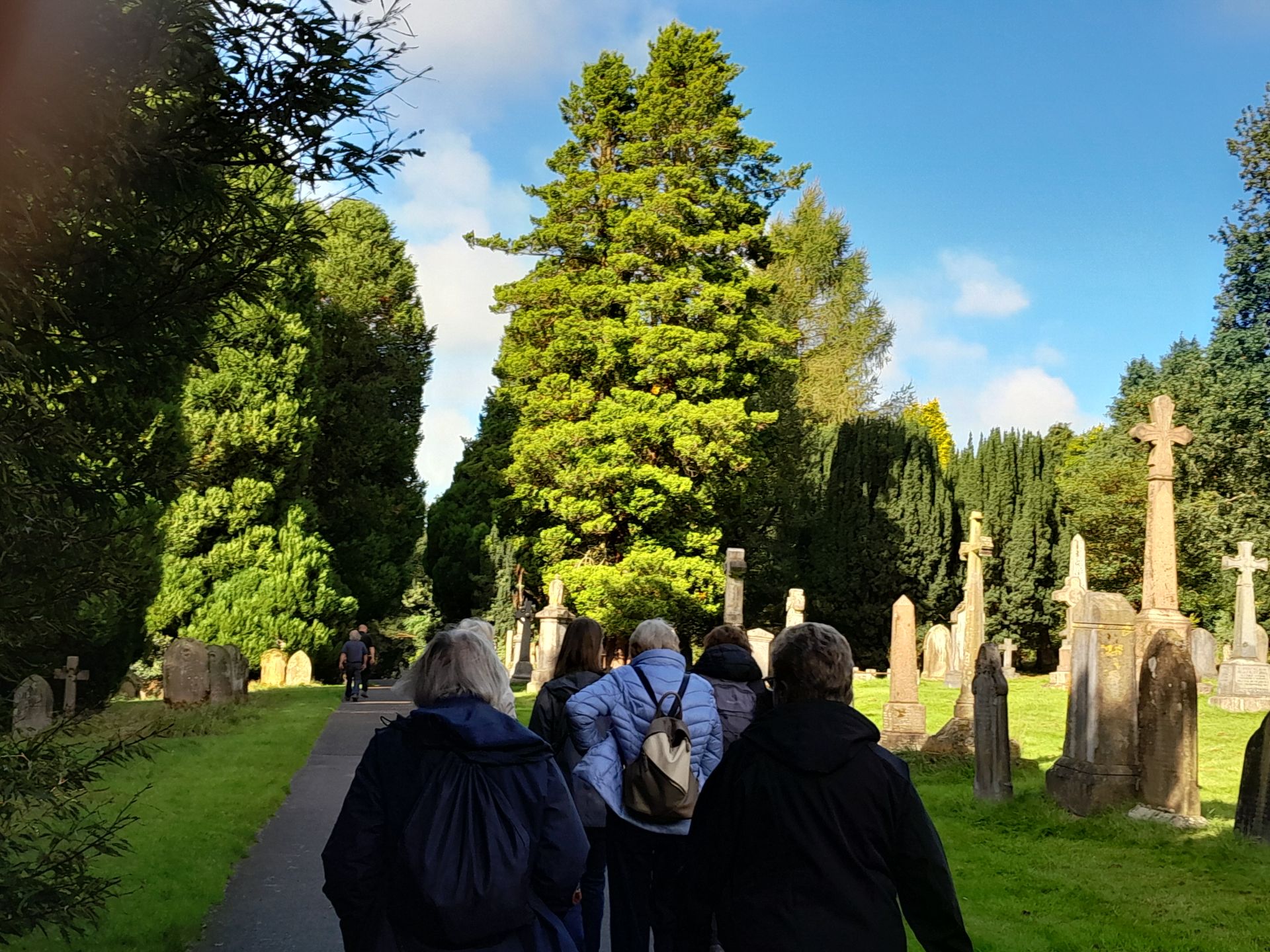 Group walking in the cemetery