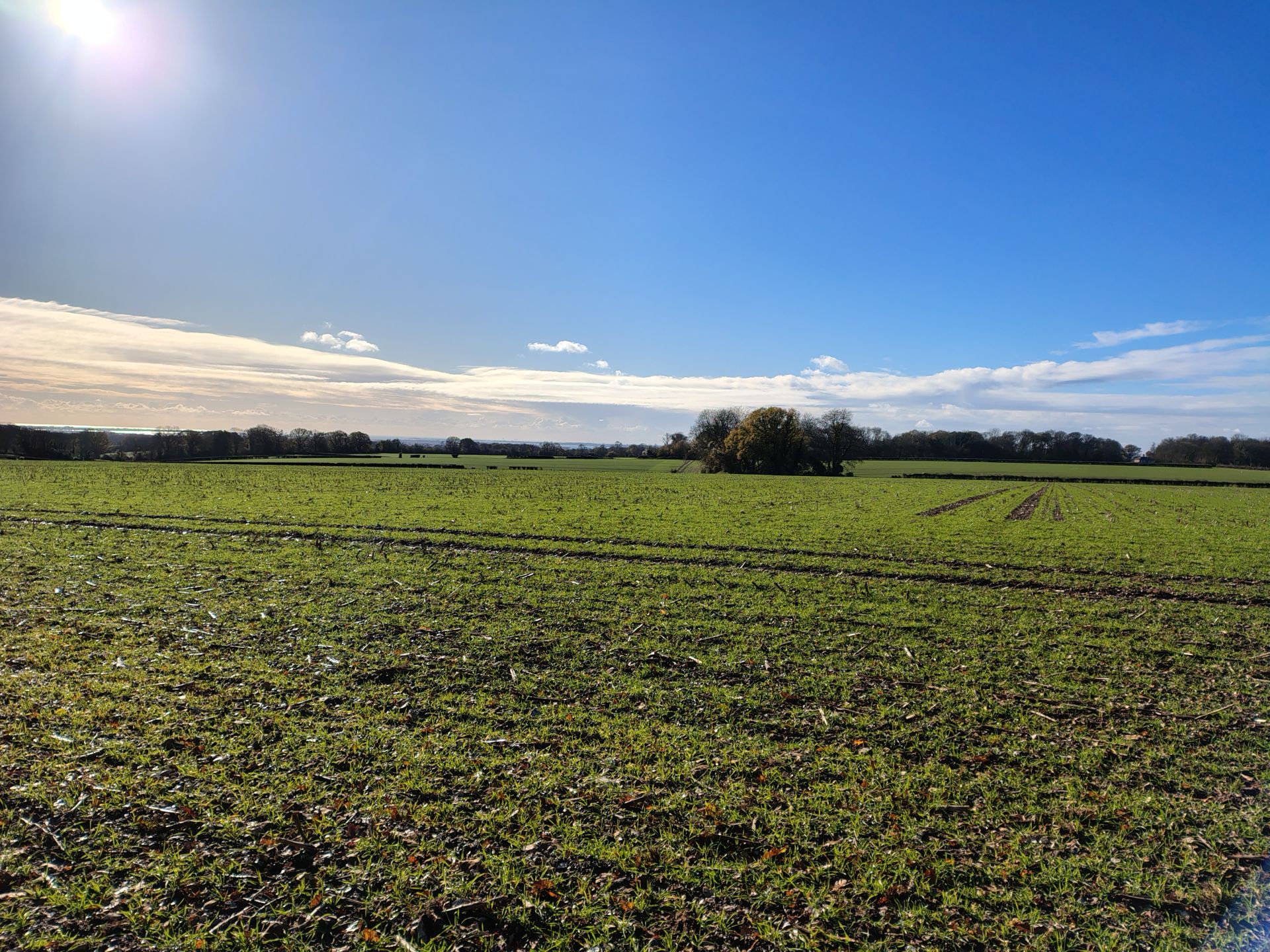 Rowlands Castle walk