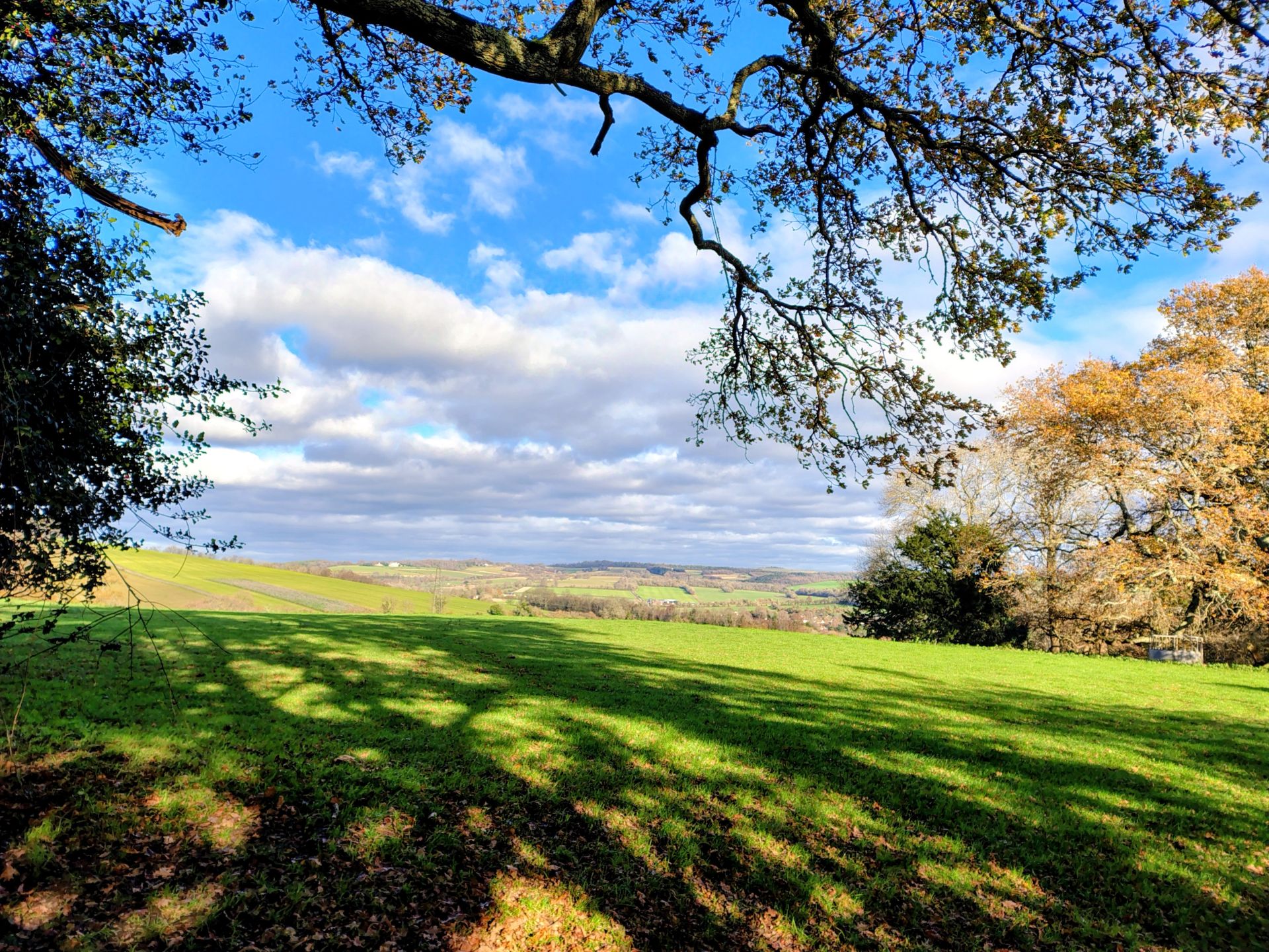 Rowlands Castle walk
