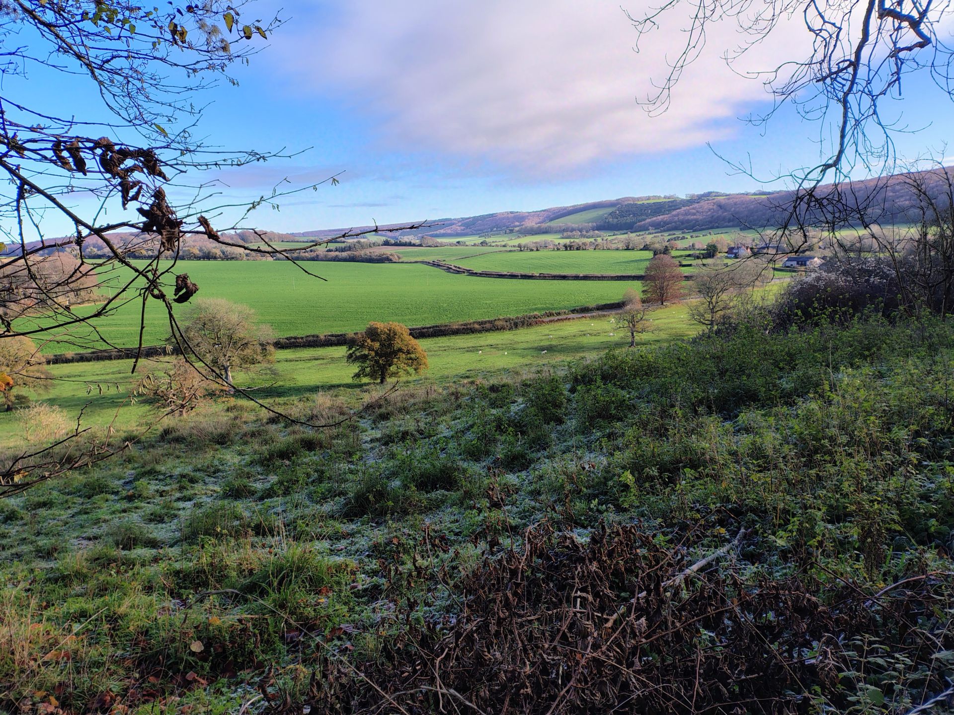 Rowlands Castle walk