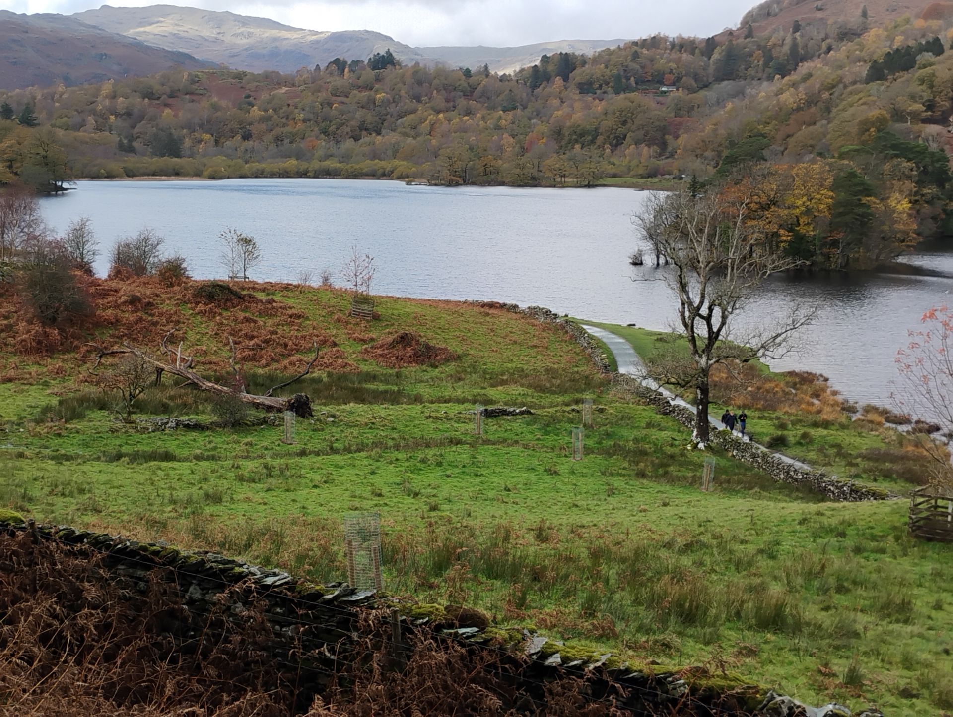 Rydal Water 