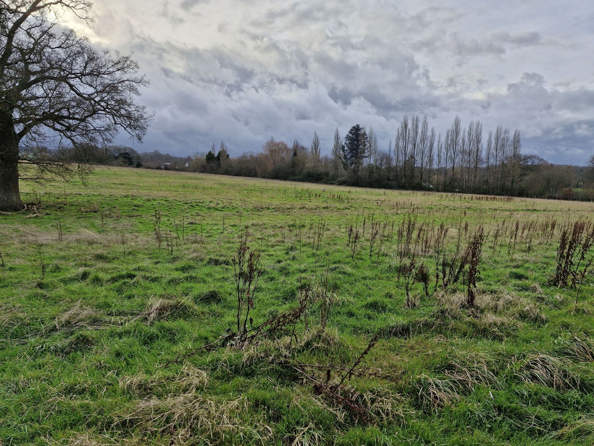 Lots of open countryside 